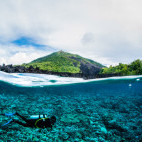 Diver in the Banda Sea, Indonesia