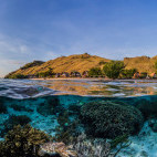 House reef at Komodo Resort in Indonesia.