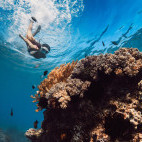 Coral reef and snorkeller in Indonesia