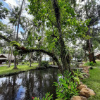 Gardens at Murex Manado in Indonesia