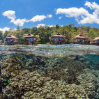 House reef at Papua Paradise Eco Resort in Raja Ampat, Indonesia