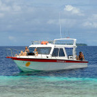 Dive boat at Papua Paradise Eco Resort in Raja Ampat, Indonesia