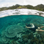 Coral reef and snorkeller in Indonesia