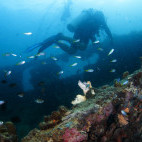 Shipwreck in Coron, the Philippines