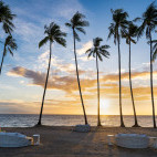 Beach and palm trees at Atmosphere Resort & Spa. Holiday accommodation in Dauin, Philippines.