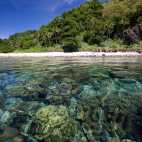 Beach near Atmosphere Resort & Spa. Holiday accommodation in Dauin, Philippines.