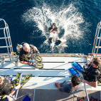 Diver jumping from Marco Polo liveaboard in Thailand