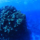 Wreck in Bougainville, Queensland, Australia