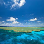 Cod Hole in the Great Barrier Reef, Queensland, Australia