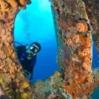 Underwater scuba diving at Divi Flamingo Beach Resort, Bonaire.