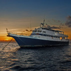 Caribbean Explorer II liveaboard
