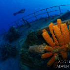 Coral reef and wreck in the Cayman Islands