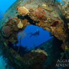 Coral reef and wreck in the Cayman Islands
