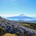 View of Pico from Faial