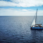 Devil ray beneath Water & Wind liveaboard in the Azores.