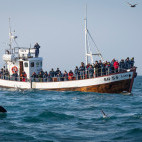 Whale watching, Iceland.