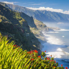 Boaventura in Madeira