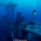Corveta Afonso wreck in Madeira