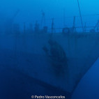 Corveta Afonso wreck in Madeira