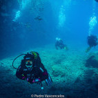 Divers in Desertas, Madeira