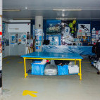 Focusnatura Dive Centre in Madeira