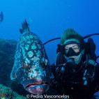 Dusky grouper and diver in Garajau, Madeira