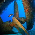 Wreck in Madeirense, Madeira