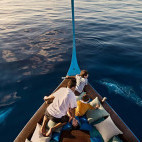 Dolphin watching boat trip near Barefoot Eco Resort in the Maldives.