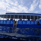 Boutique Beach dive boat on Dhigurah, Maldives