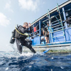 Diver jumping in from Emperor Serenity dhoni in the Maldives.