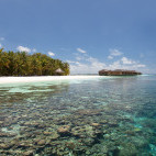 House reef at Vilamendhoo Island Resort, Maldives