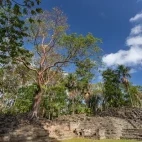 Lubaantun Mayan ruins in Belize.