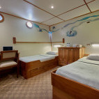 Twin cabin onboard MV Argo liveaboard.