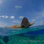Prinz Eugen wreck in Kwajalein Atoll.