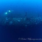 Saratoga wreck in Bikini Atoll.