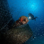 Wreck in Bikini Atoll.