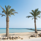 Beach with palm trees at Soma Bay, Egypt