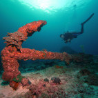 Sponge encrusted anchor in Oman.