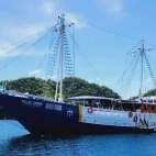 Exterior view of the Palau Siren.