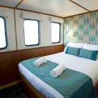 Ocean view deluxe cabin onboard Spirit of Freedom liveaboard