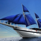 Palau Siren liveaboard