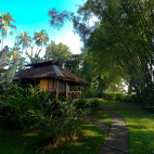 Bungalow at Walindi Plantation Resort, Papua New Guinea.