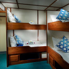 Cabin on board Pacific Master liveaboard