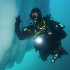 Diver in Antarctica.