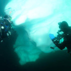 Divers in Antarctica.