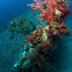 Dunraven Wreck in Sharm el Sheikh, Egypt