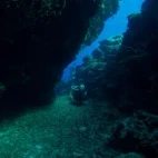 Diver in Bligh Water, Fiji.