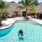 Guest learning to dive in the pool area by Dive Point Scuba Centre, Zanzibar.