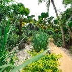 The palm gardens at Sunshine Marine Lodge, Zanzibar.