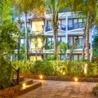 The palm tree forest at The Z Hotel, Zanzibar.